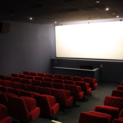Actualité Cinéma